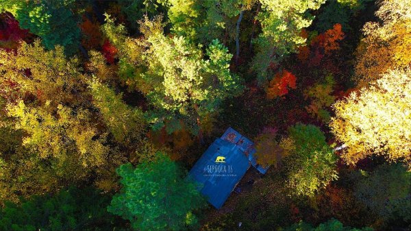 ТРИ ДНЯ В ИЗБЕ! нОВАЯ ПЕЧКА !!!