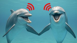 Новое исследование 🐬 Дельфины разговаривают, используя настоящие слова 😱✨