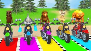 Брейнрот проходит испытания | Итальянские  мемы - в опастности| Мультики про машинки