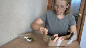 распаковка клонов