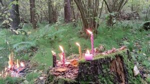 Болезни полученные от сущностей,лярв и т.пЧистка,защита и возврат бумерангом для злопыхателей