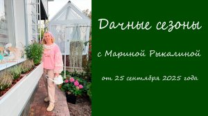 Дачные сезоны с Мариной Рыкалиной от 25 сентября 2025 года