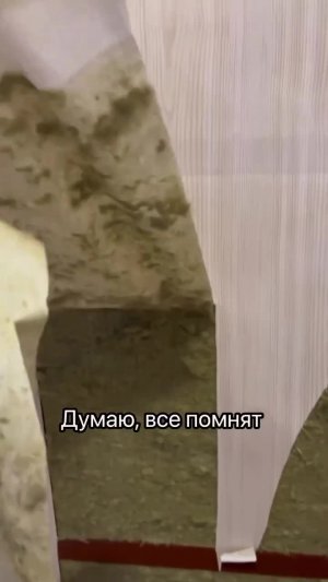 Переделка старой входной двери и возведение шкафа в прихожей