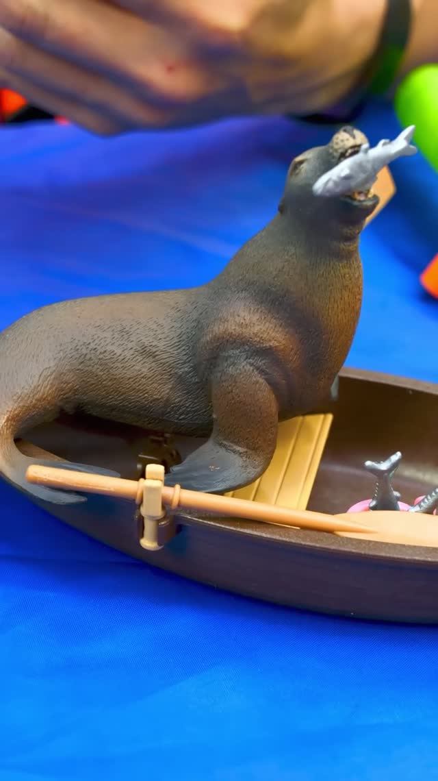 Самый дерзкий морской лев – съел всю рыбу! 🐟🐠 #игрушкидлядетей #животныедлядетей #длядетей смотреть онлайн