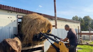 Мы должны были так поступить. Зачем мы сломали ферму? Делаем ремонт в доме. Что там по яйцам?