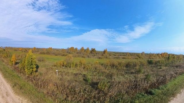 9920773 смотреть онлайн