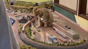 Кошки и игрушечный поезд