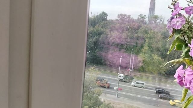 Зреет виноград, последние розы и астры сентябрь 2025 смотреть онлайн