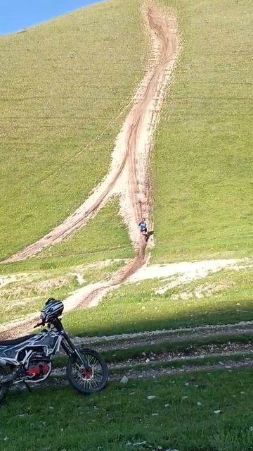 змейка смотреть онлайн