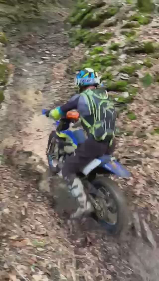 шерко 2т се 300 смотреть онлайн