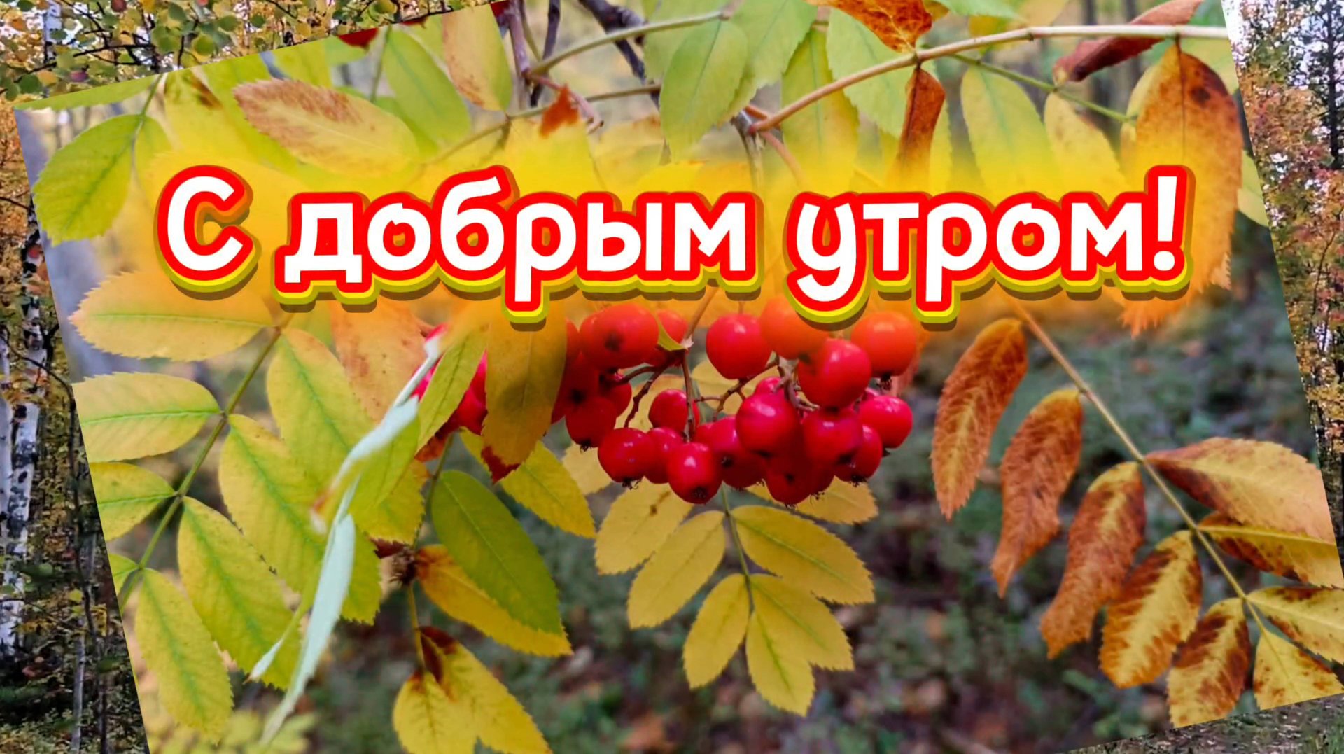 ДОБРОЕ УТРО! Красивая песня С ДОБРЫМ УТРОМ! смотреть онлайн