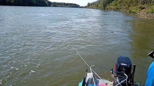 Рыбалка в Сибири на реке Чулым. Окунь, щука🔥💪