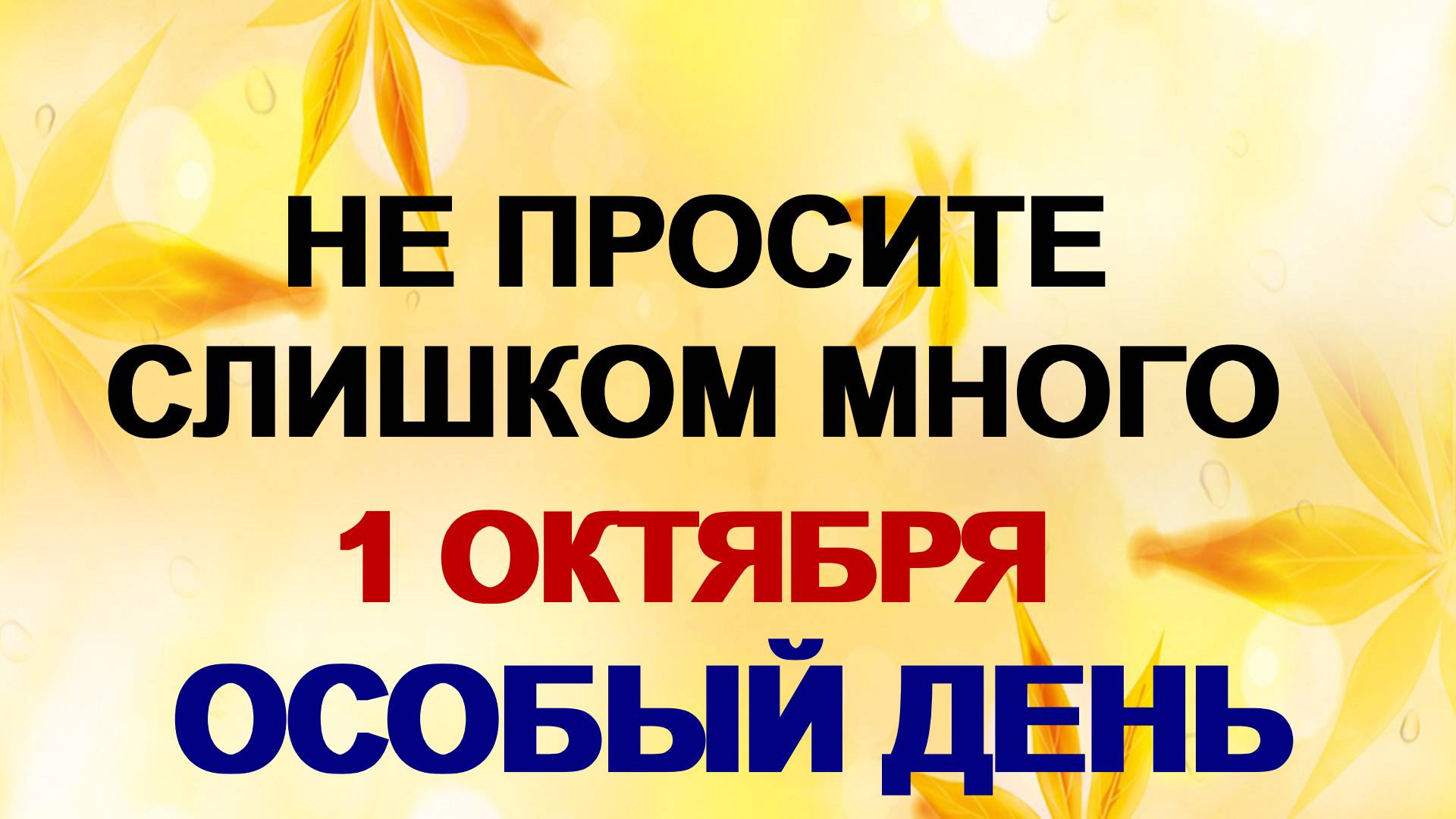 1 октября. Арина Шиповница: как не потерять все, что имеешь. смотреть онлайн