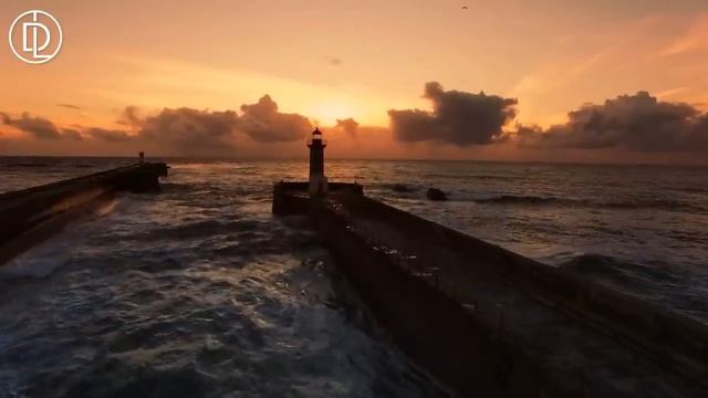 Night City Late-Night Chill & Cityscapes Under Neon Lights