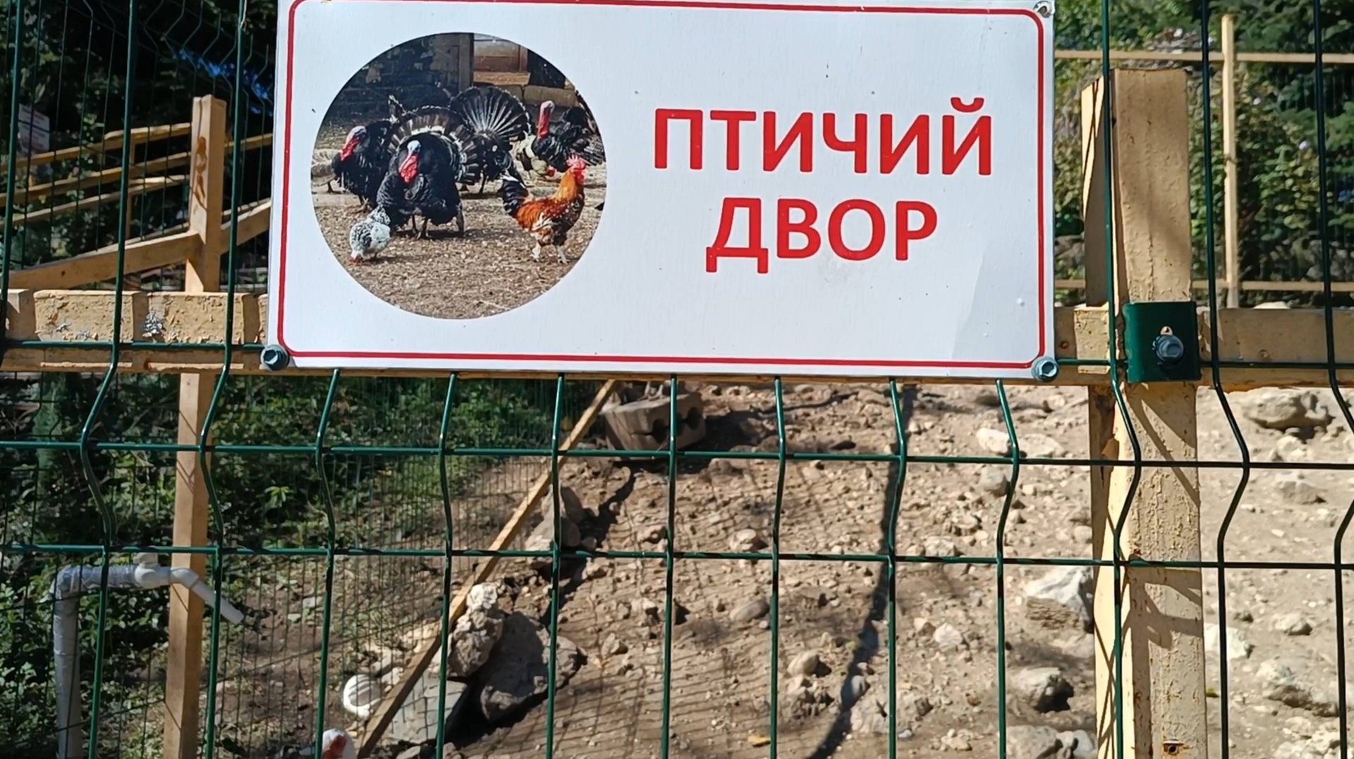 ПТИЧИЙ ДВОР НА ХАДЖОХСКОЙ ТЕСНИНЕ