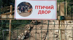 ПТИЧИЙ ДВОР НА ХАДЖОХСКОЙ ТЕСНИНЕ