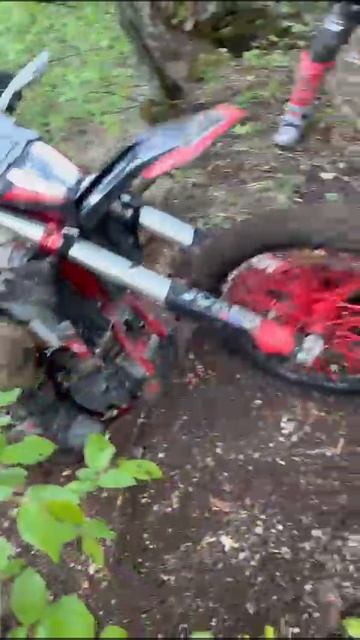 2025_05_01_21_13_IMG_0417 смотреть онлайн