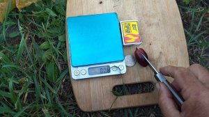 Гф Пломбир селекции Калугина В. М с очень хрустящей ягодой.