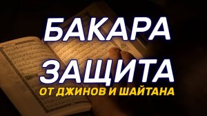 СЛУШАТЬ ПЕРЕД СНОМ. Сура Бакара. Коран