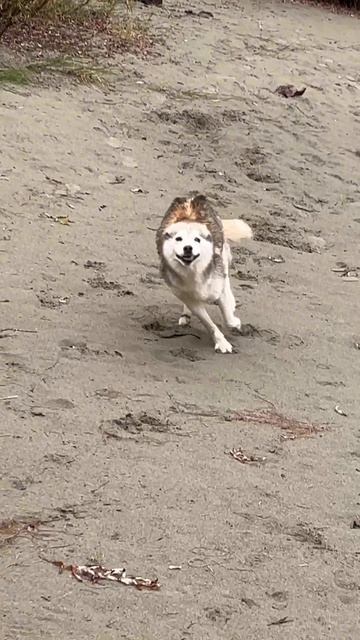 2025-09-24 смотреть онлайн