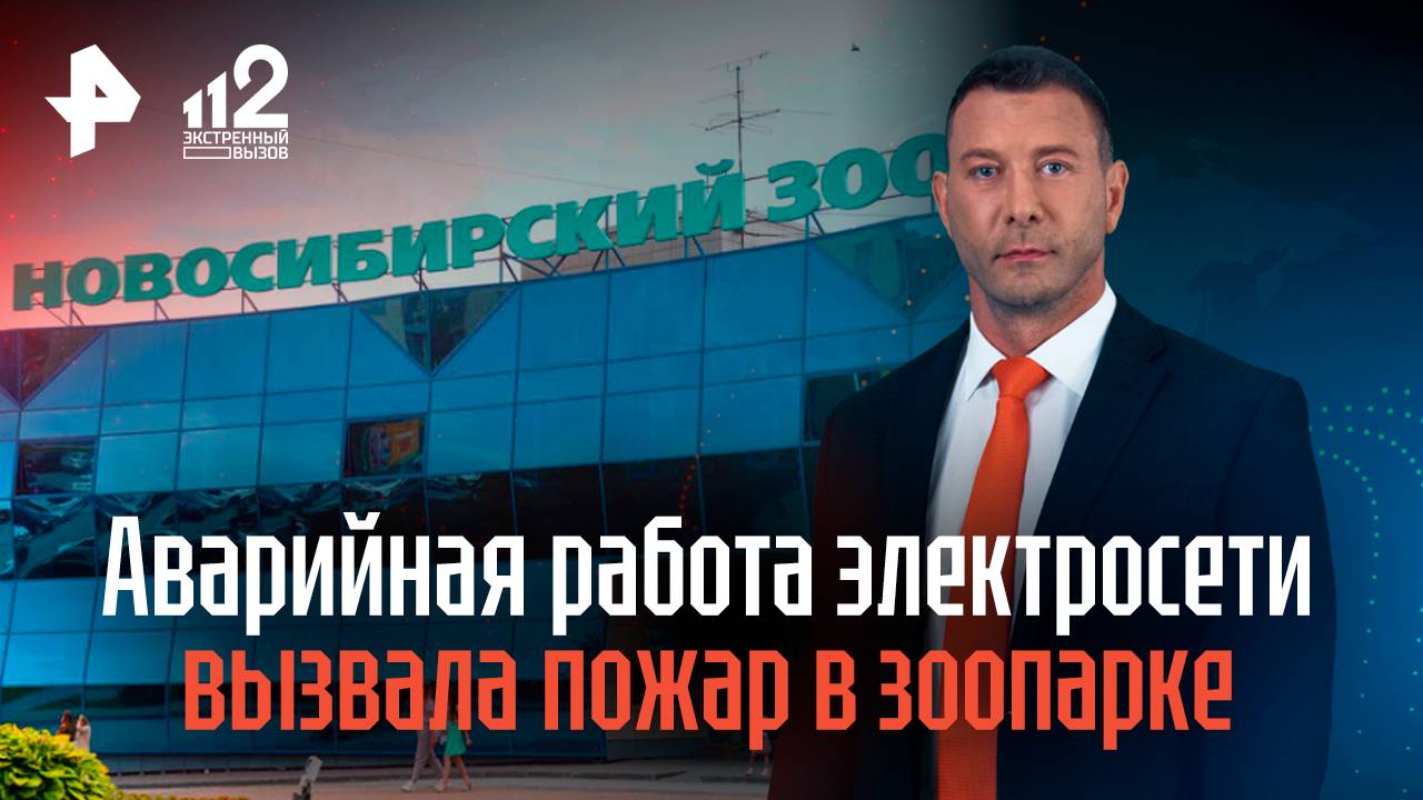 Аварийный режим работы электросети спровоцировал пожар в зоопарке Новосибирска смотреть онлайн
