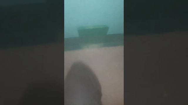 фильм сильная темнота (от фильма магическая ванна) смотреть онлайн