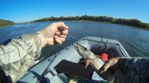 Рыбалка на хищника и отдых  на реке Ока.