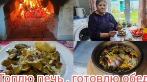 Топлю печь ,готовлю обед ,посадила тюльпаны.🌷