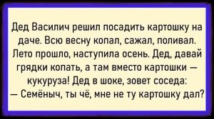 Такого ДЕД точно не ожидал! Сборник свежих анекдотов! Юмор