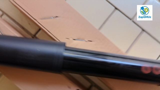 Обзор нивоматов задние амортизаторы Captiva Antara 20924216. t.me/ZapGMUz