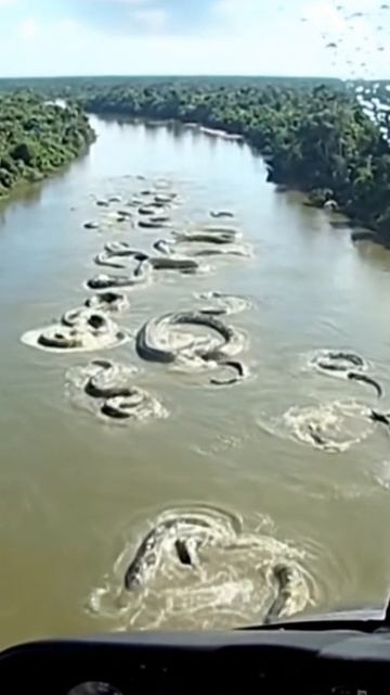 Смоленская анаконда: встреча над рекой смотреть онлайн