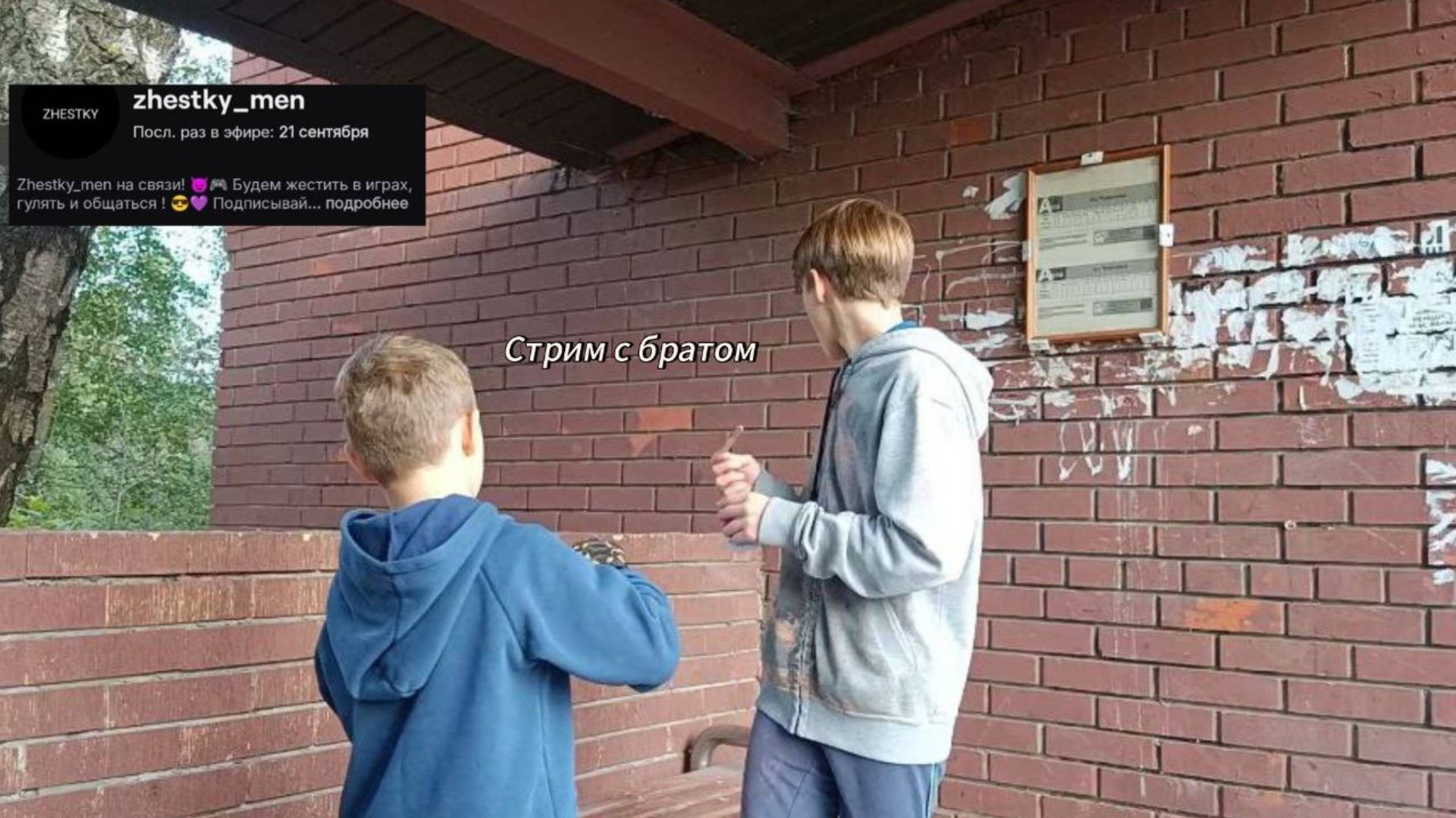 Стрим с братом 💜На Twitch.    ССсылка на Twitch в описании⬇️