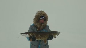 Неожиданный ТРОФЕЙ в СНЕЖНОЙ ТУНДРЕ. С ЖЕНОЙ на БУКСИРОВЩИКЕ в ПУРГУ к ЧЕРТУ на КУЛИЧКИ.