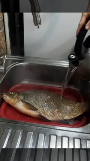 Огромный лещ! Как почистить рыбу быстро, без грязи и чешуи? Лайфхак.