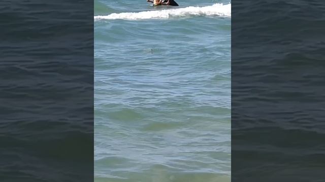 Для отдыха на море в сентябре нужна только хорошая погода. Центральный пляж в станице Благовещенская смотреть онлайн