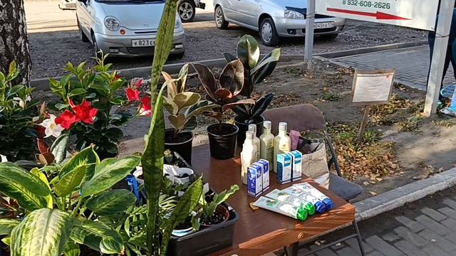 ЗАВТРАК В КАФЕ ДОРОГО И ВКУСНО 👋ПО МАГАЗИНАМ. смотреть онлайн