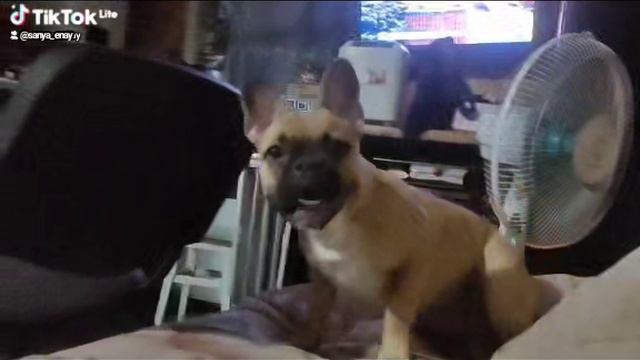 Дело было вечером, делать было нечего. смотреть онлайн