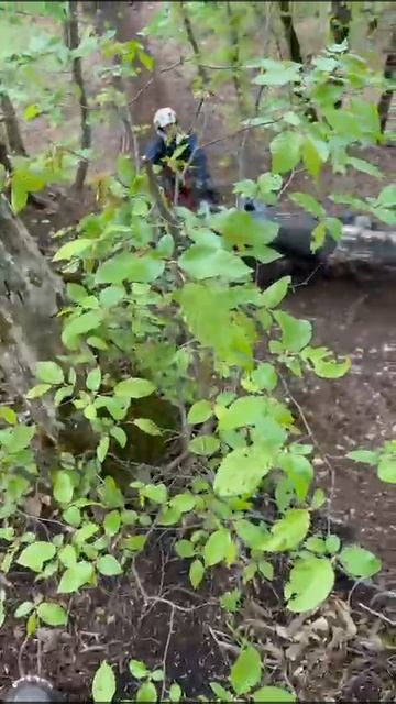 2025_05_01_21_07_IMG_0415 смотреть онлайн