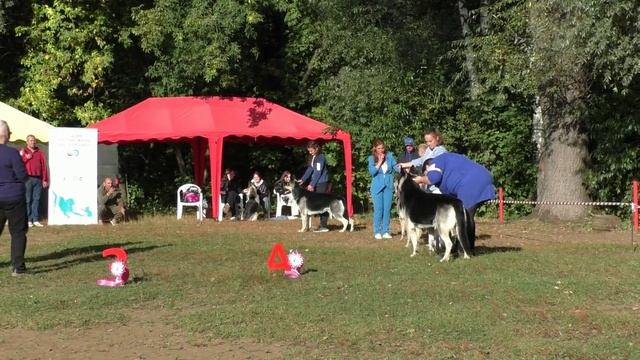 Сравнение на ЛК смотреть онлайн