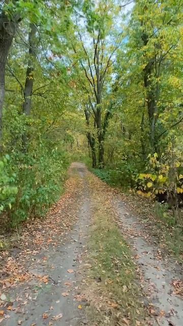 СБЕР и ЛЕНИН‼️ #отдых #путешествия #россия #блогер #природа #красота #лес #блог #деревня #успех смотреть онлайн