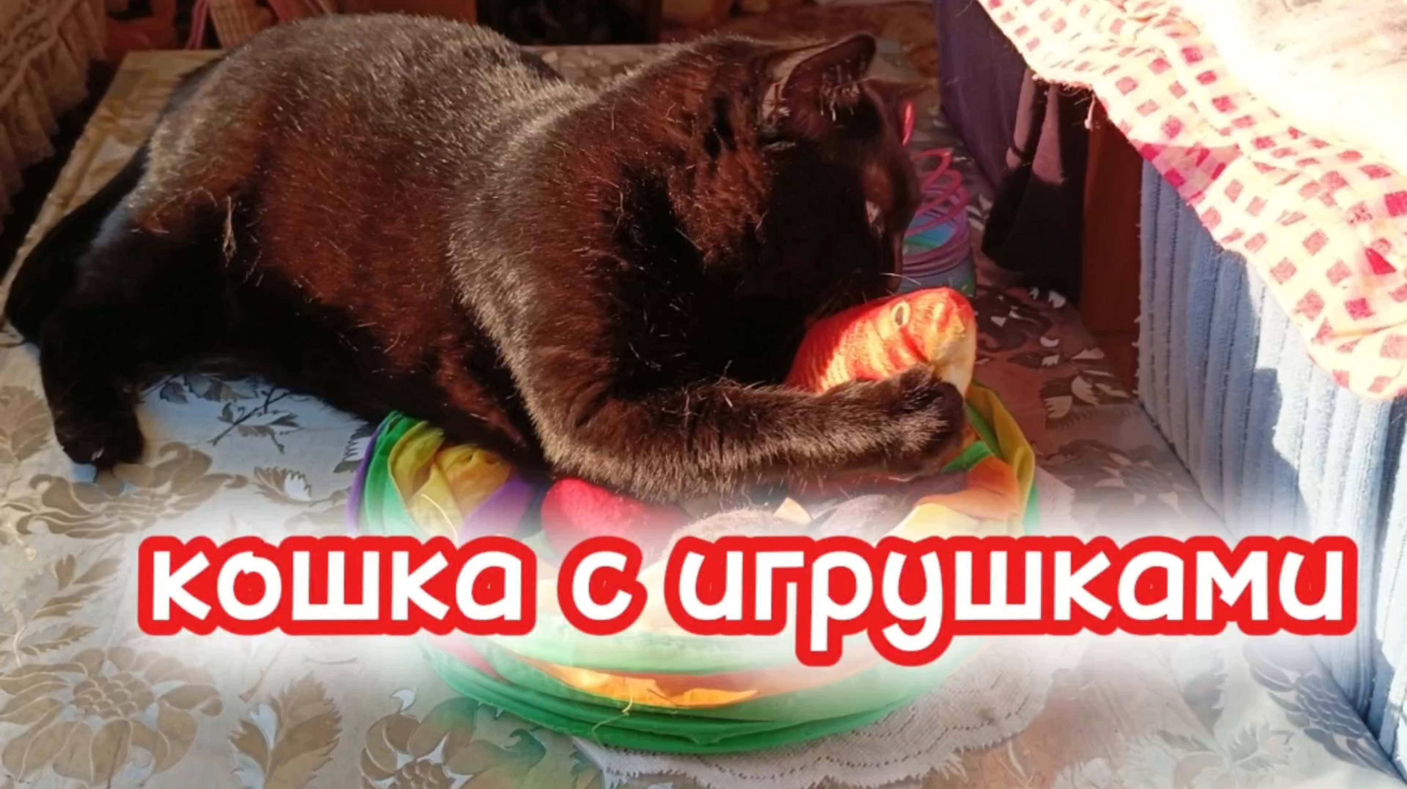 Кошка с игрушками. смотреть онлайн