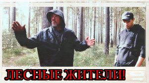ЛЕСНЫЕ ЖИТЕЛИ / 87 серия (18+)