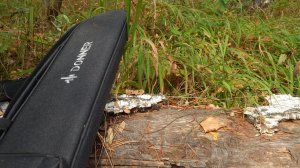 Взгляд на Donner Hush-I