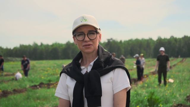 Фонд "Экология" в рамках проекта «Посади деревья» высадил более 1,2 тысячи сосен в Иркутской области