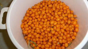 Рецепт.. Самое полезное и вкусное  повидло из ягод Облепихи.  Кулинарим с Людмилой..