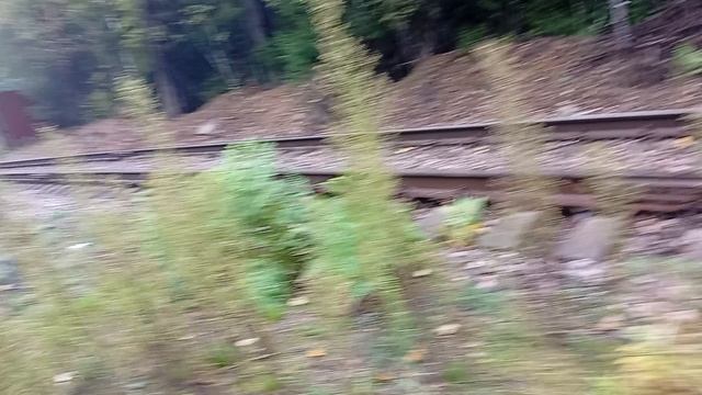 сегодня день в видео смотреть онлайн