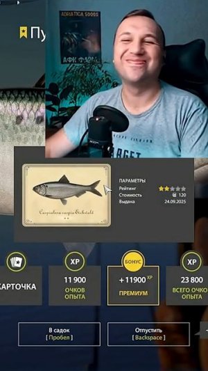 Идеальный ТАЙМИНГ=) ● Русская Рыбалка 4 | РР4