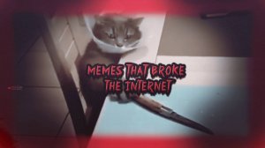 THESE MEMES BROKE THE INTERNET №3