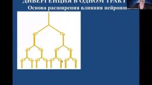 Лекция 5. Нормальная физиология для ИКМ и ИМД. ЦНС. Часть 1. Кузнецова Т.Е.