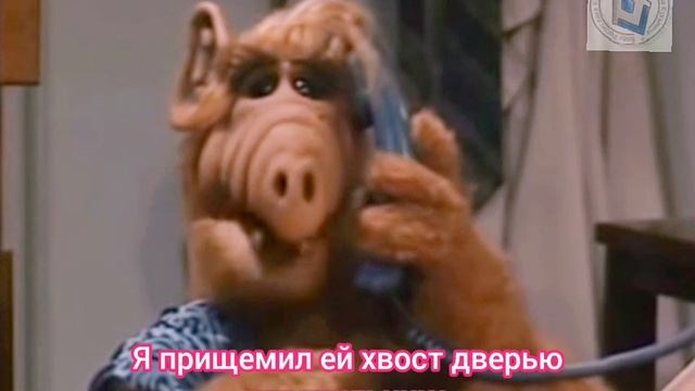 Альф. Отрывки из серии. С субтитрами и переводом. Смешные моменты. Отличный сериал про пришельца. смотреть онлайн